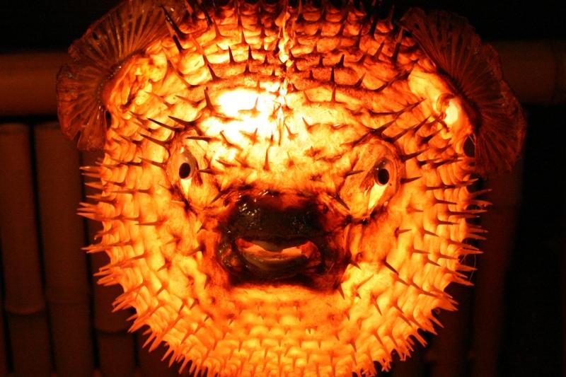 Bar Tiki Lounge
