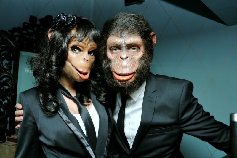 Monkeys Crashers