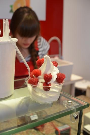 Yogurt Factory
